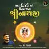 Dixit Pahada - He Mara Ghat Ma Birajta Shrinathji - Single